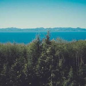 blog cover image